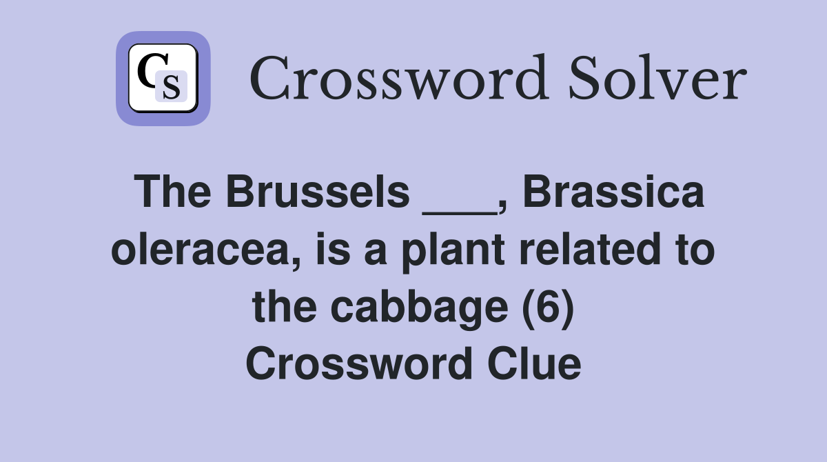 The Brussels ___, Brassica oleracea, is a plant related to the cabbage (6) Crossword Clue