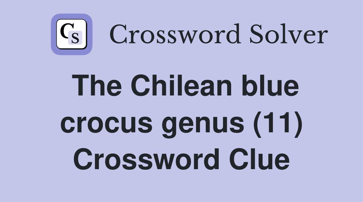 The Chilean blue crocus genus (11) Crossword Clue