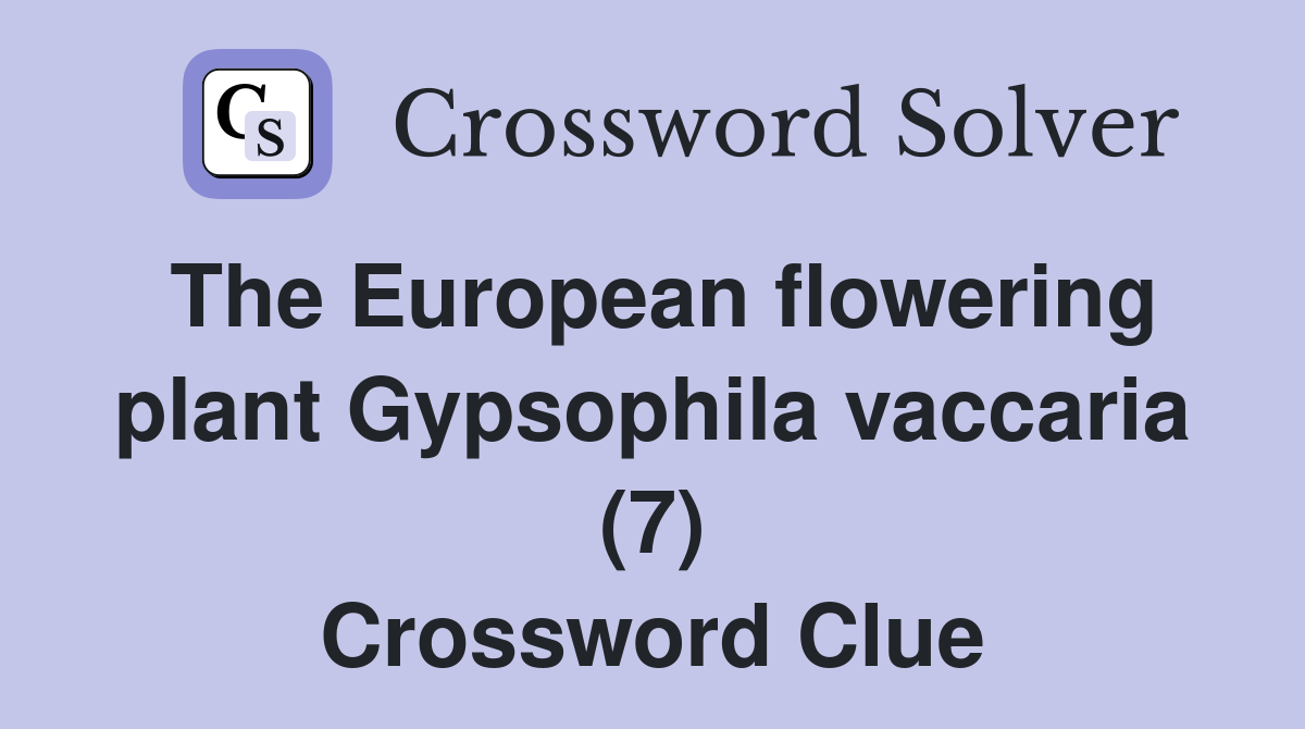 The European flowering plant Gypsophila vaccaria (7) Crossword Clue