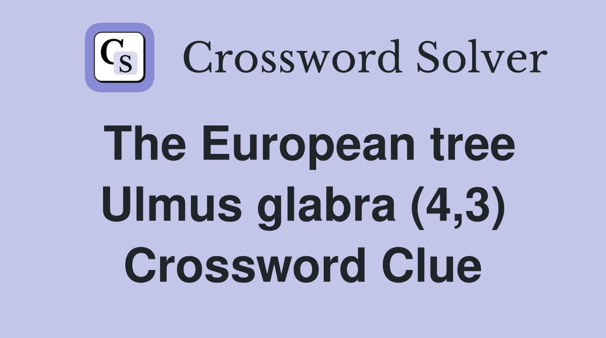 The European tree Ulmus glabra (4,3) Crossword Clue