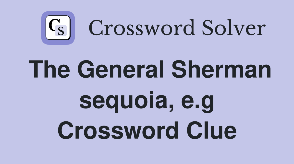 The General Sherman sequoia, e.g Crossword Clue