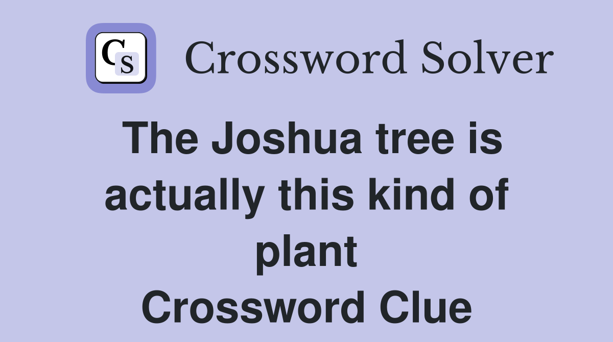 The Joshua tree is actually this kind of plant Crossword Clue