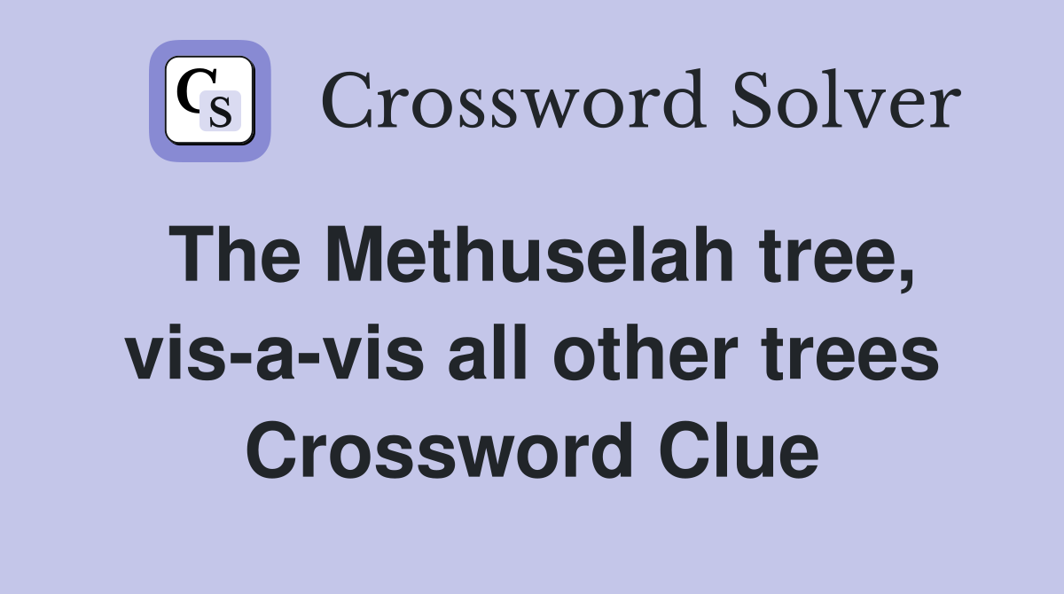 The Methuselah tree, vis-a-vis all other trees Crossword Clue