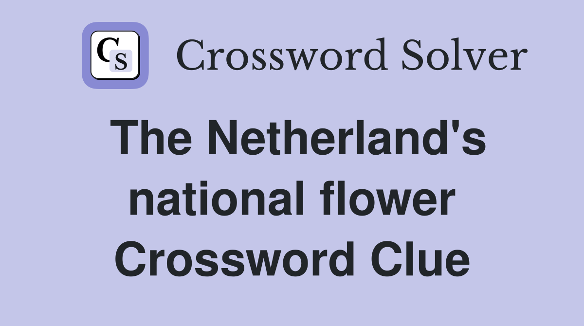 The Netherland's national flower Crossword Clue