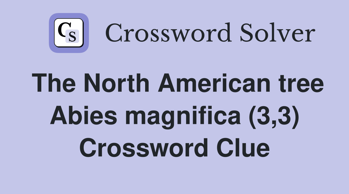 The North American tree Abies magnifica (3,3) Crossword Clue
