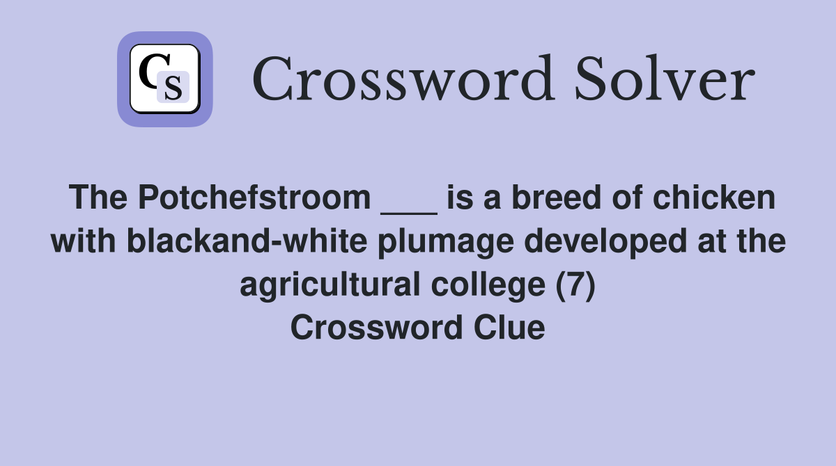 The Potchefstroom ___ is a breed of chicken with blackand-white plumage developed at the agricultural college (7) Crossword Clue