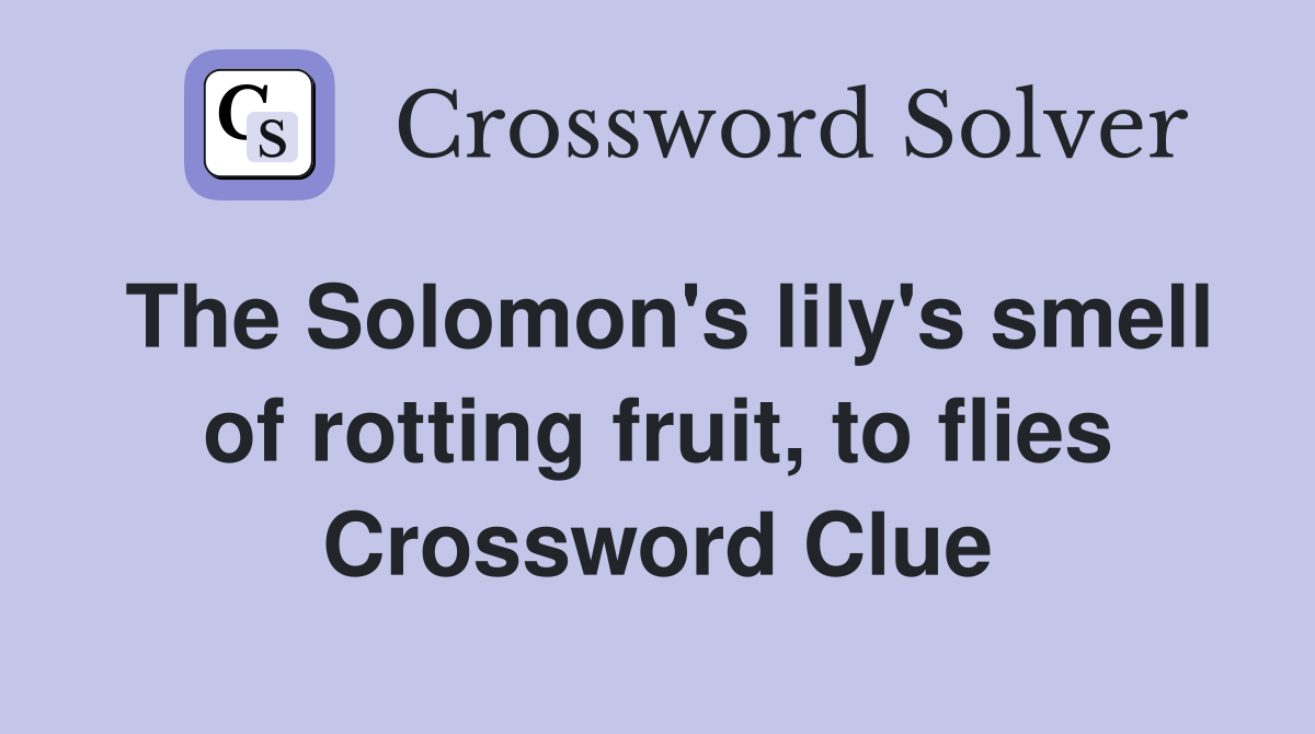 The Solomon's lily's smell of rotting fruit, to flies Crossword Clue
