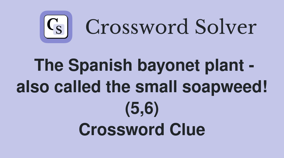 The Spanish bayonet plant - also called the small soapweed! (5,6) Crossword Clue