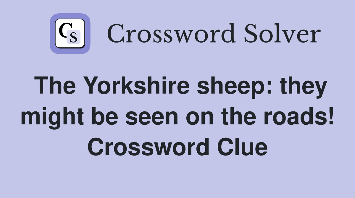 The Yorkshire sheep: they might be seen on the roads! Crossword Clue