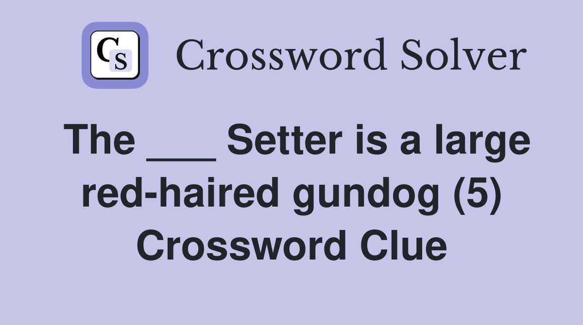 The ___ Setter is a large red-haired gundog (5) Crossword Clue