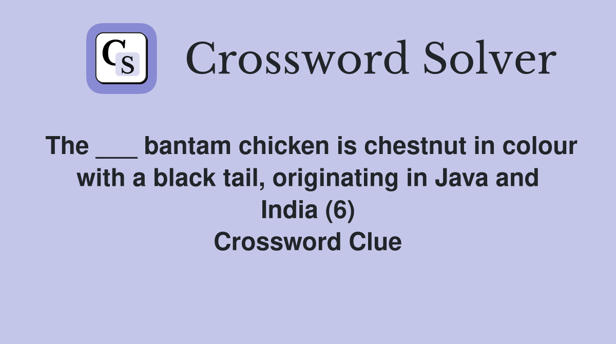 The ___ bantam chicken is chestnut in colour with a black tail, originating in Java and India (6) Crossword Clue
