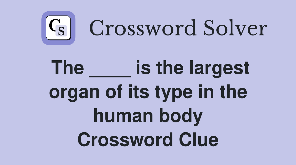The ____ is the largest organ of its type in the human body Crossword Clue