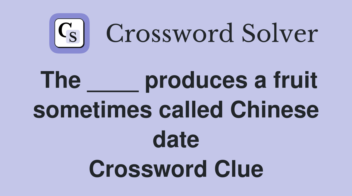 The ____ produces a fruit sometimes called Chinese date Crossword Clue