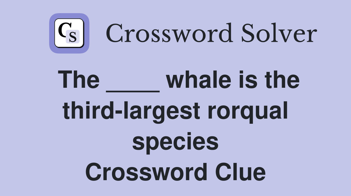 The ____ whale is the third-largest rorqual species Crossword Clue