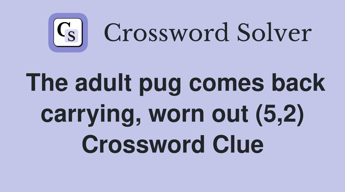 The adult pug comes back carrying, worn out (5,2) Crossword Clue