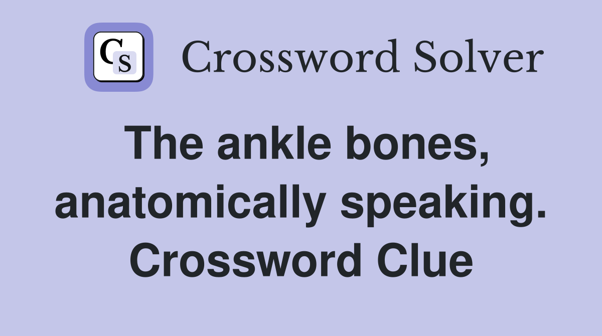 The ankle bones, anatomically speaking. Crossword Clue