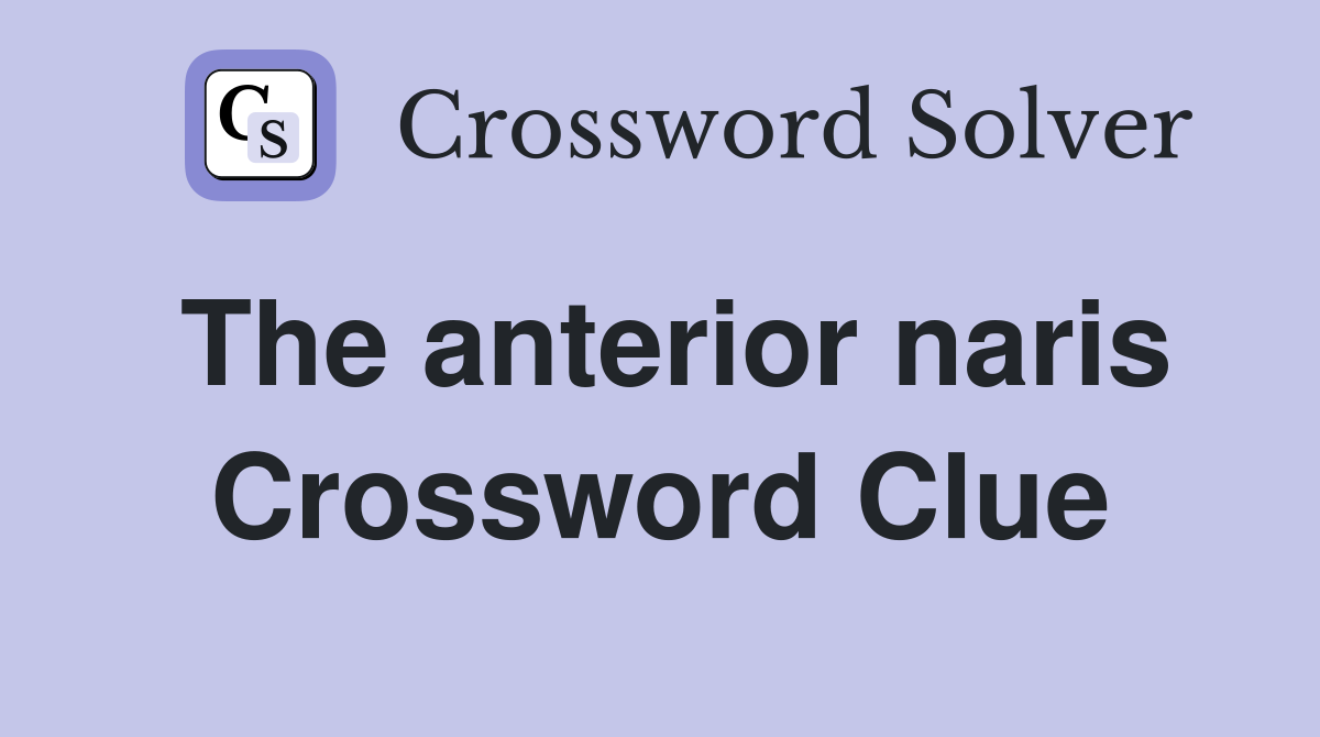 The anterior naris Crossword Clue