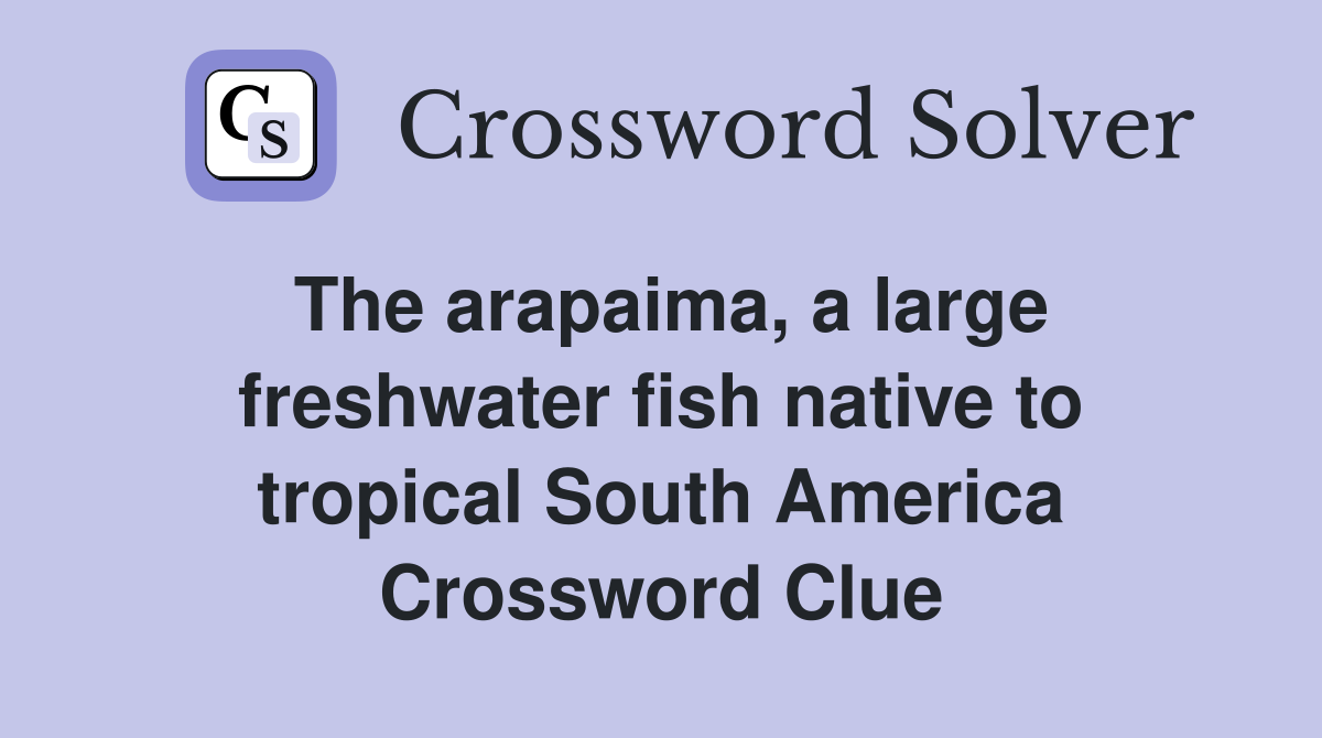 The arapaima, a large freshwater fish native to tropical South America Crossword Clue