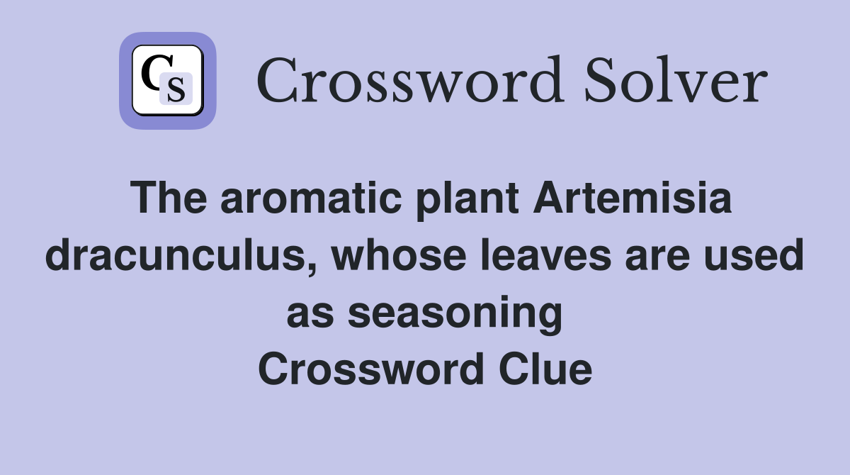 The aromatic plant Artemisia dracunculus, whose leaves are used as seasoning Crossword Clue
