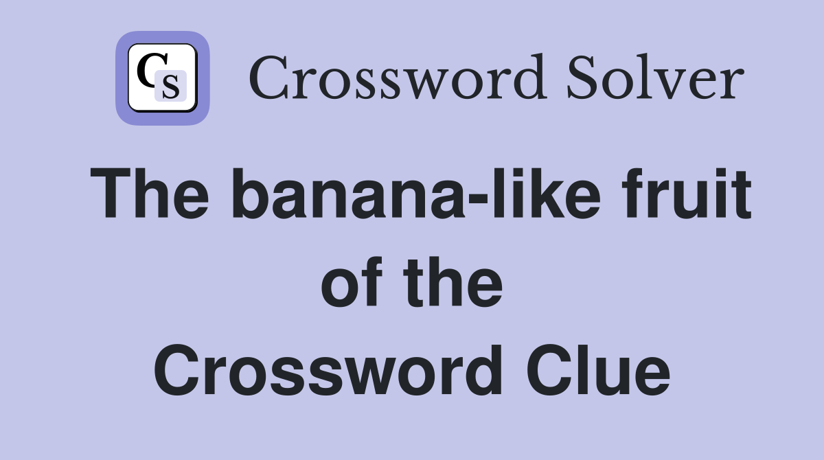 The banana-like fruit of the Crossword Clue