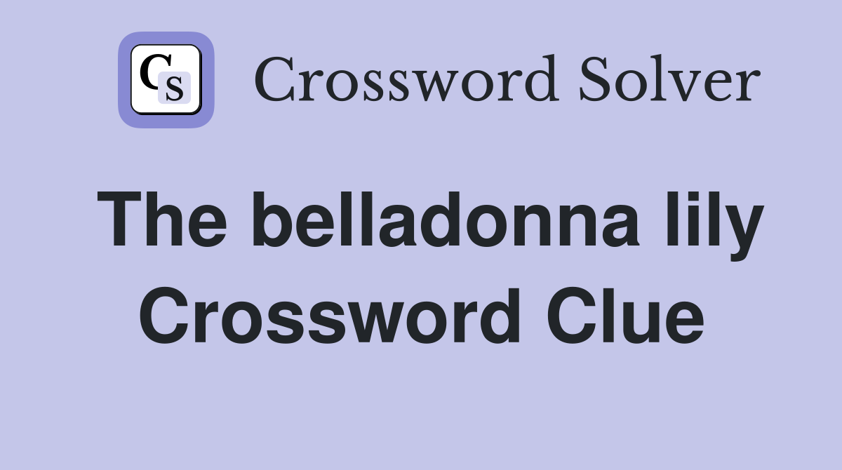 The belladonna lily Crossword Clue