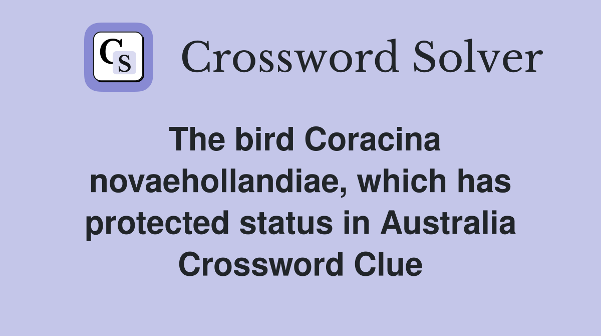 The bird Coracina novaehollandiae, which has protected status in Australia Crossword Clue