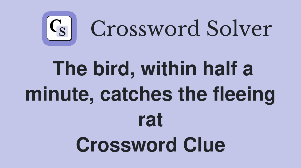 The bird, within half a minute, catches the fleeing rat Crossword Clue