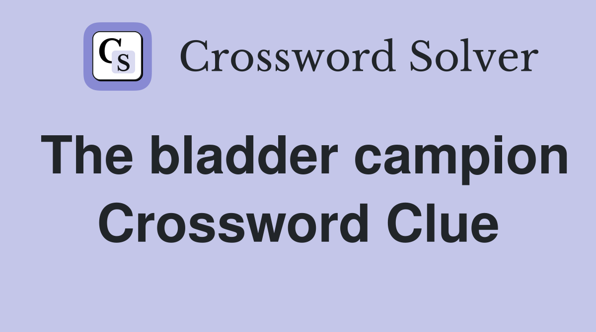 The bladder campion Crossword Clue