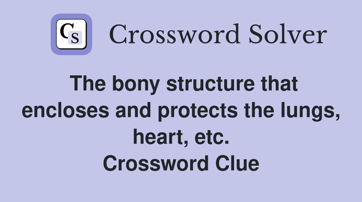The bony structure that encloses and protects the lungs, heart, etc. Crossword Clue