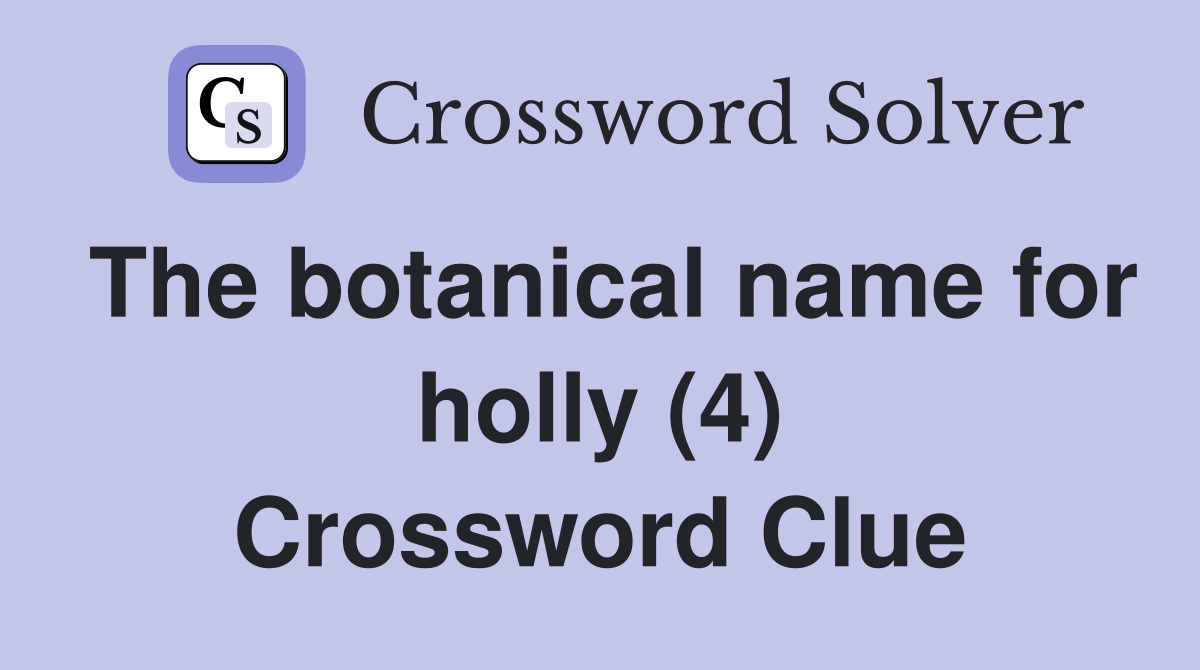 The botanical name for holly (4) Crossword Clue
