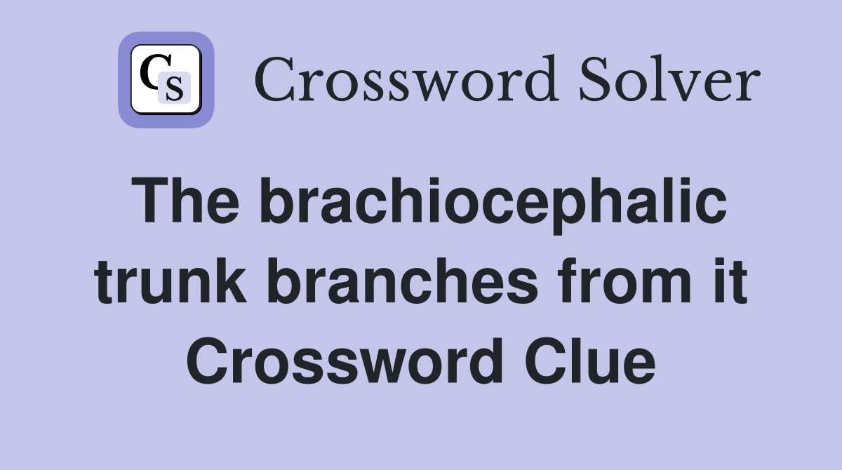 The brachiocephalic trunk branches from it Crossword Clue