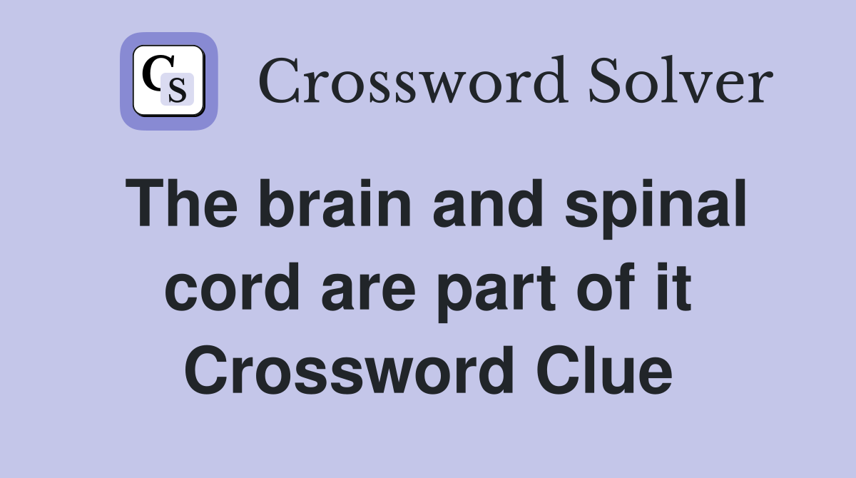 The brain and spinal cord are part of it Crossword Clue