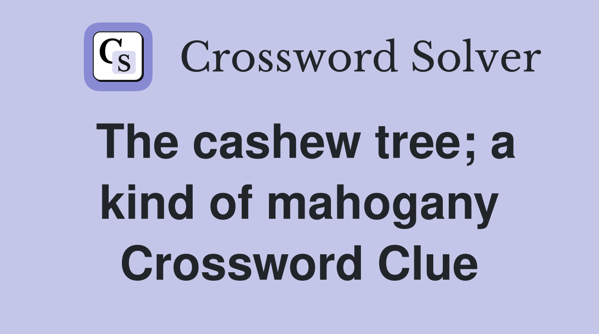The cashew tree; a kind of mahogany Crossword Clue