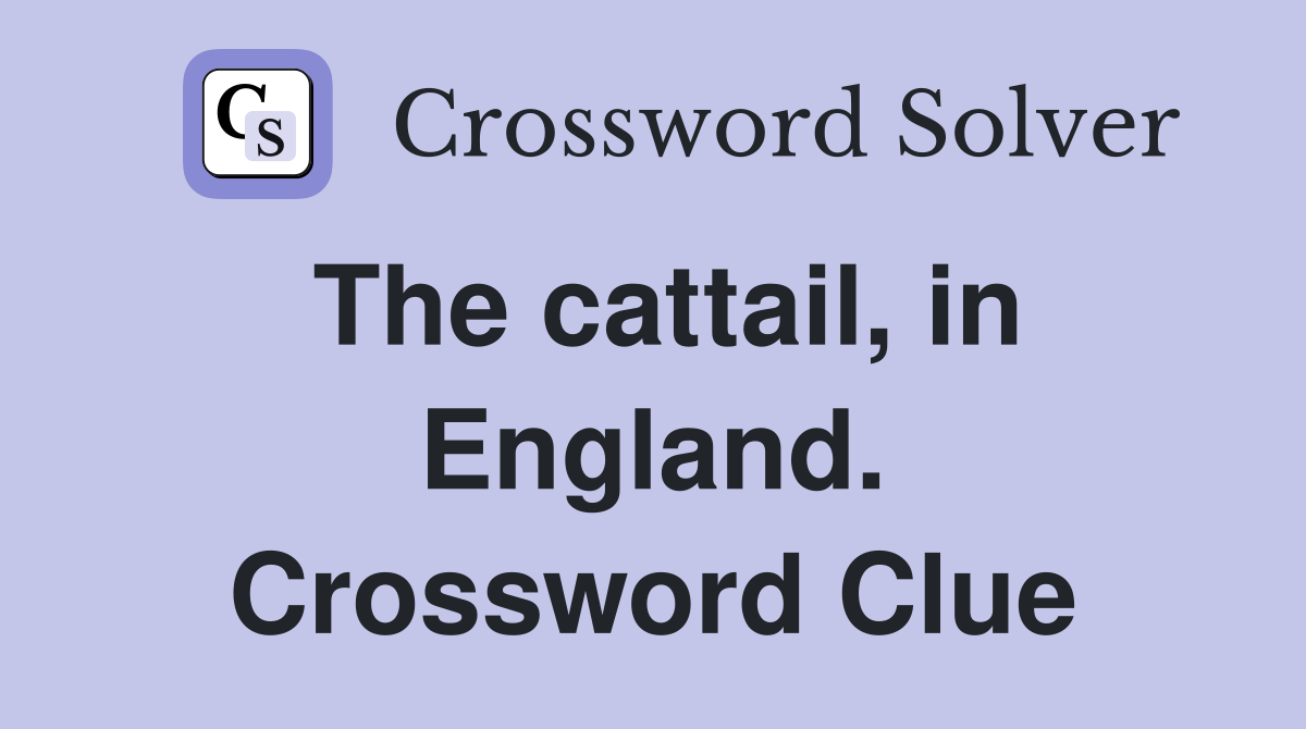 The cattail, in England. Crossword Clue