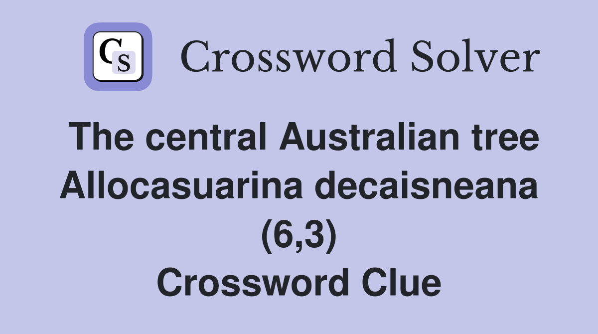The central Australian tree Allocasuarina decaisneana (6,3) Crossword Clue