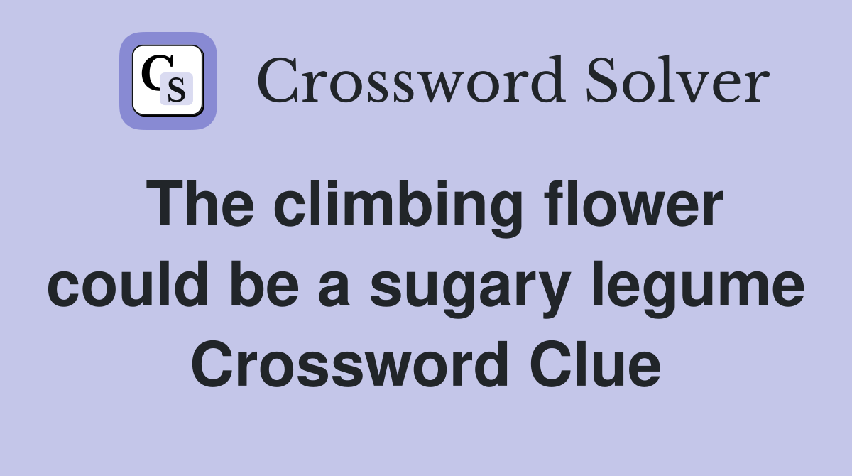 The climbing flower could be a sugary legume Crossword Clue