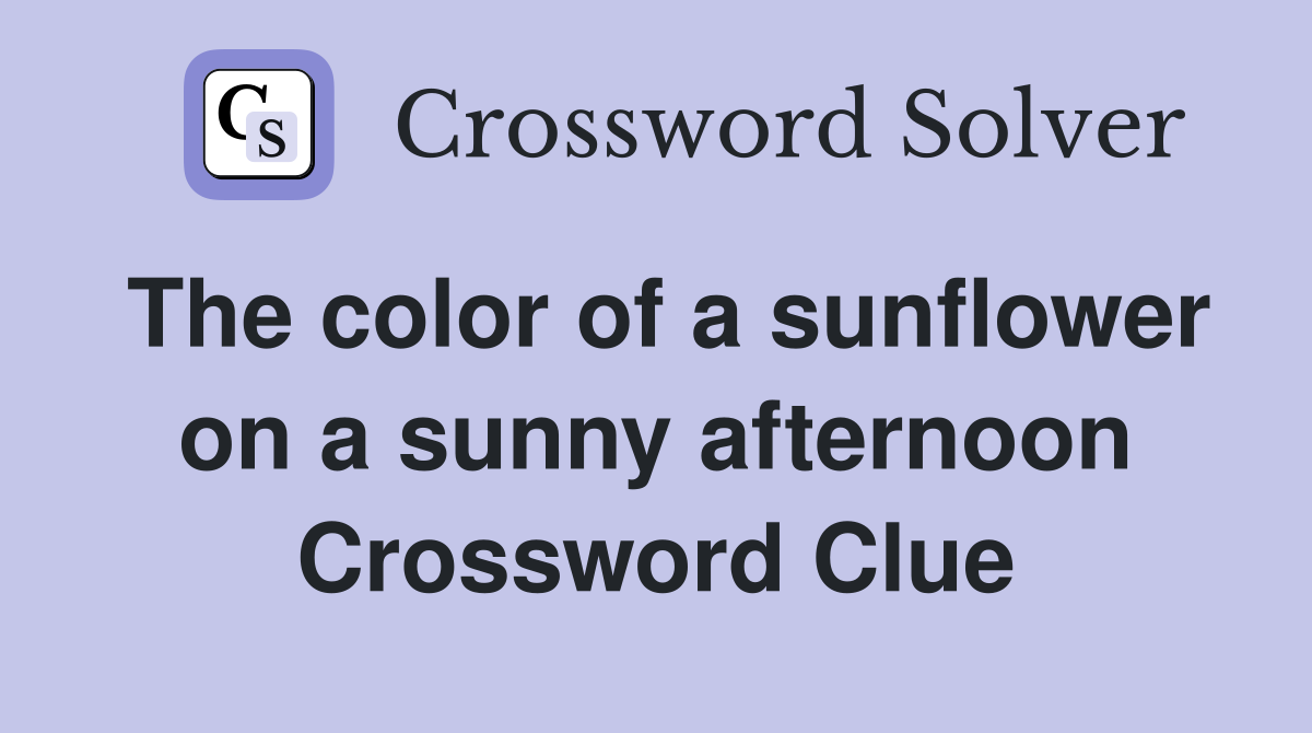 The color of a sunflower on a sunny afternoon Crossword Clue