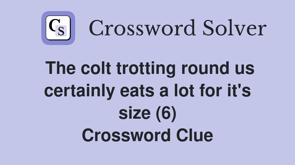 The colt trotting round us certainly eats a lot for it's size (6) Crossword Clue