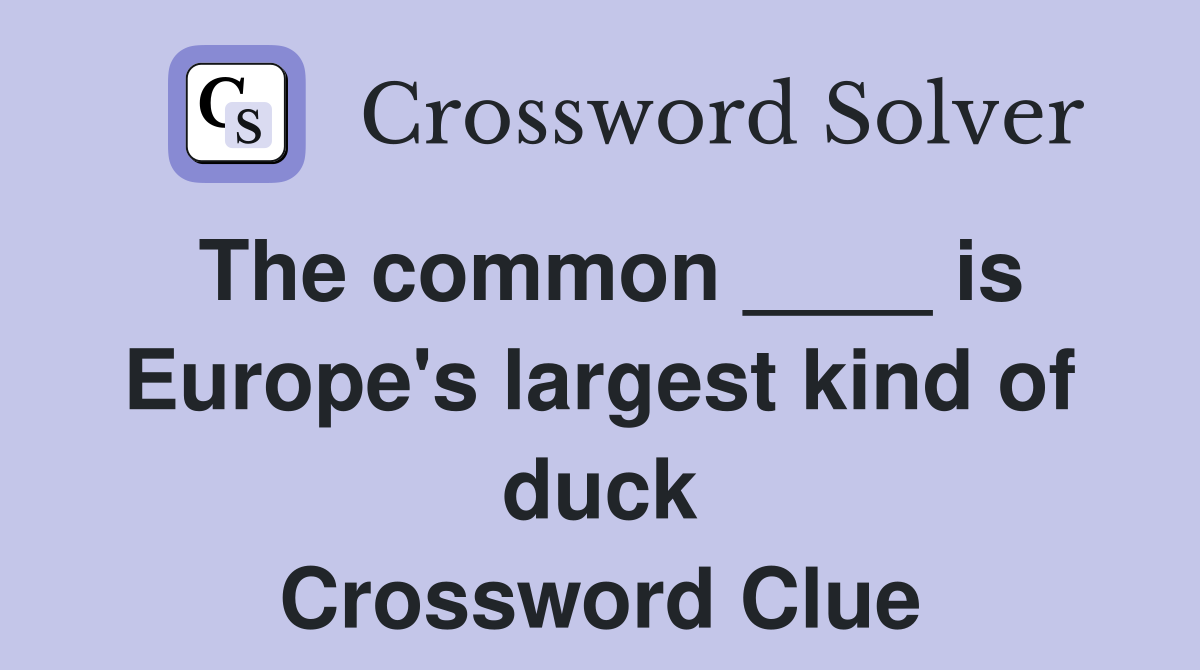 The common ____ is Europe's largest kind of duck Crossword Clue