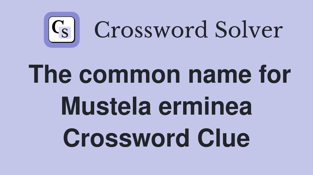 The common name for Mustela erminea Crossword Clue