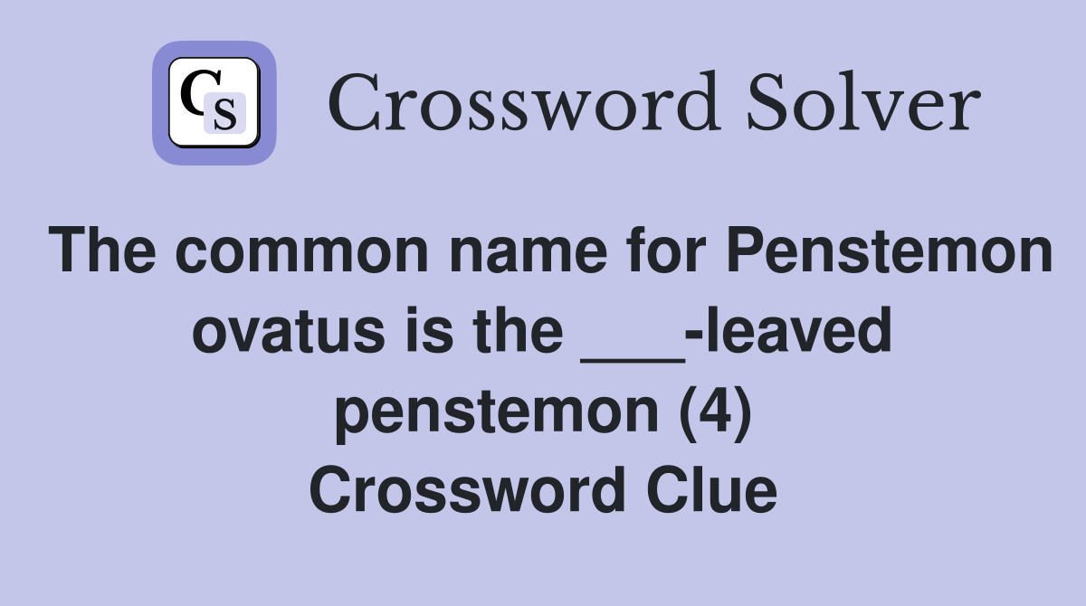 The common name for Penstemon ovatus is the ___-leaved penstemon (4) Crossword Clue