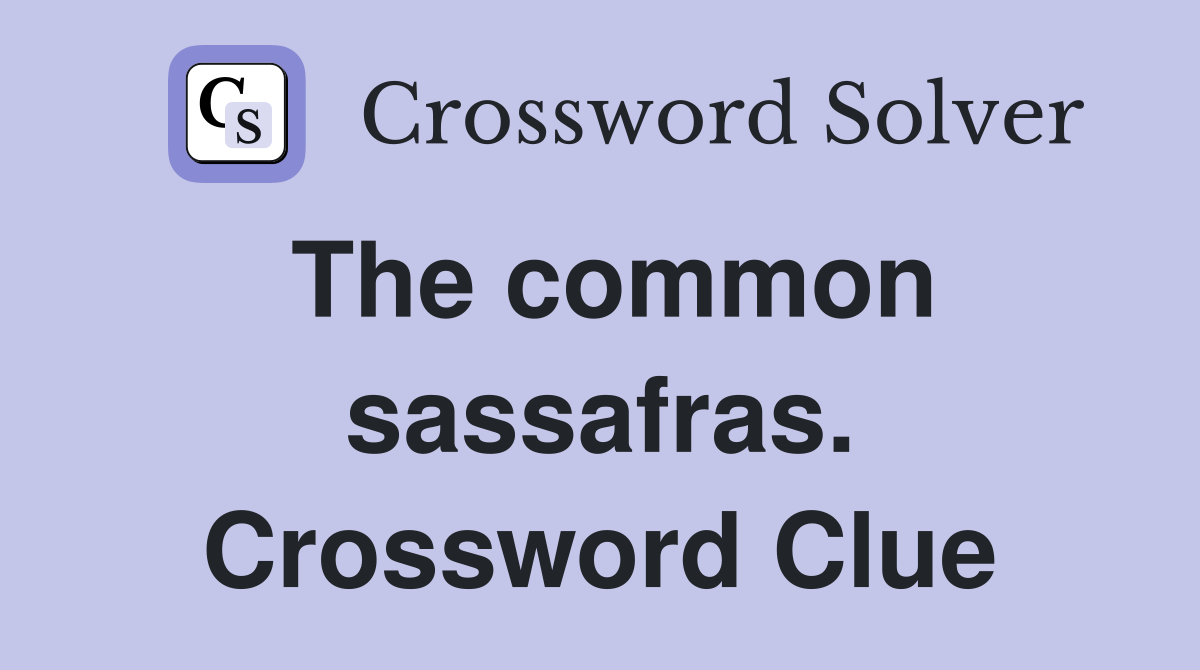 The common sassafras. Crossword Clue