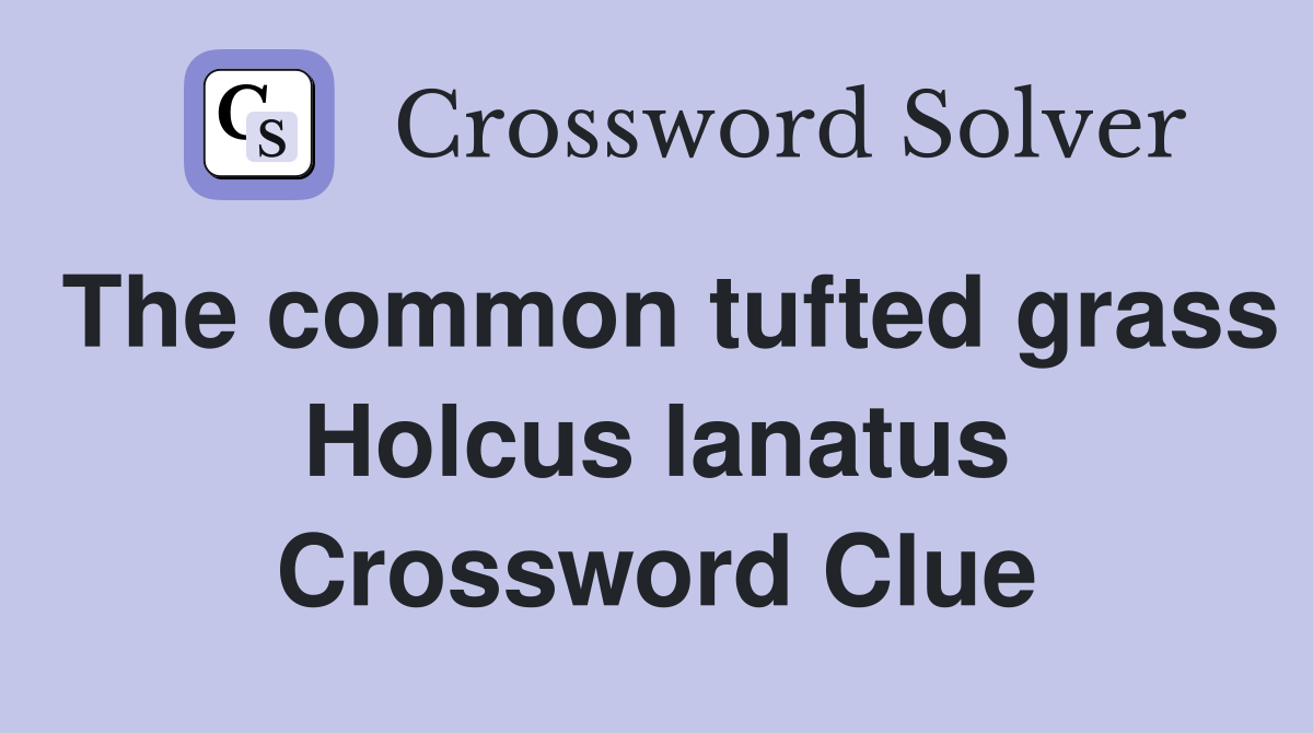 The common tufted grass Holcus lanatus Crossword Clue