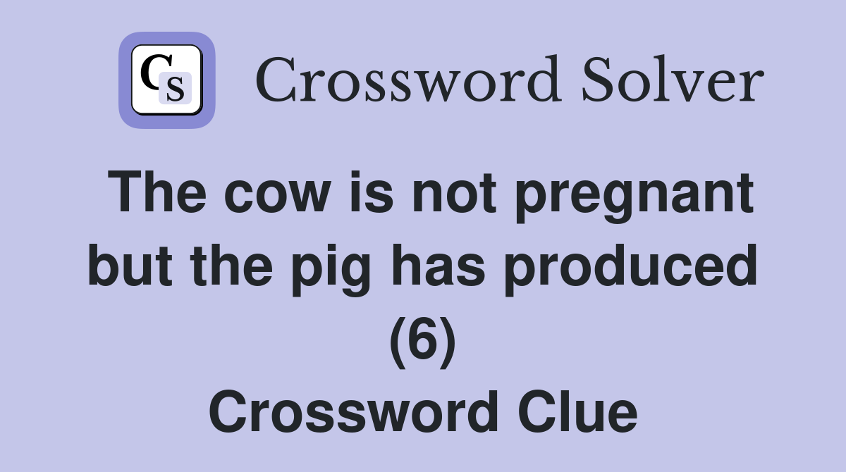The cow is not pregnant but the pig has produced (6) Crossword Clue