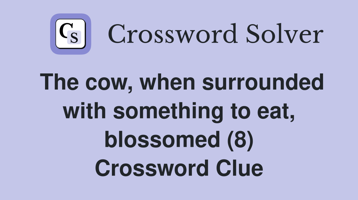 The cow, when surrounded with something to eat, blossomed (8) Crossword Clue