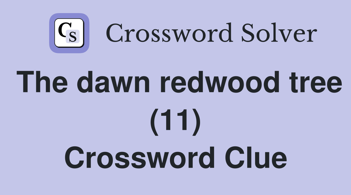 The dawn redwood tree (11) Crossword Clue