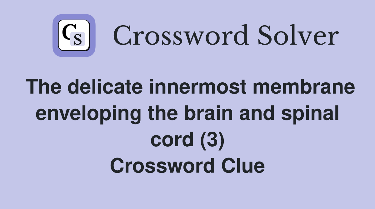 The delicate innermost membrane enveloping the brain and spinal cord (3) Crossword Clue