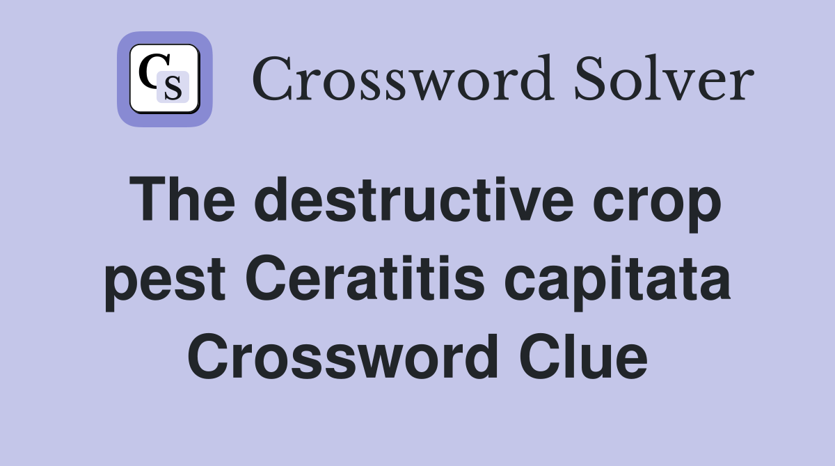 The destructive crop pest Ceratitis capitata Crossword Clue