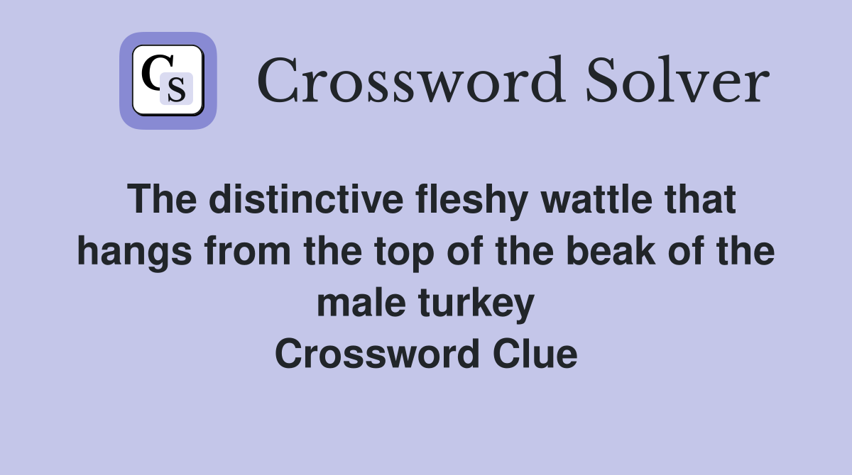The distinctive fleshy wattle that hangs from the top of the beak of the male turkey Crossword Clue