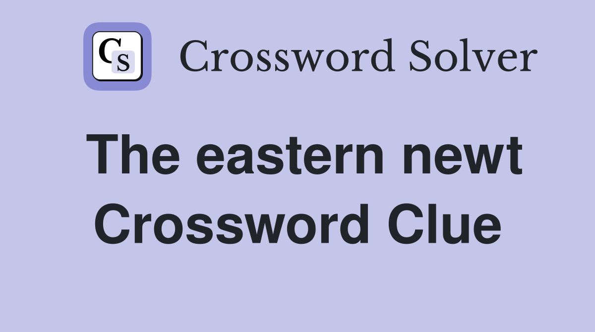 The eastern newt Crossword Clue